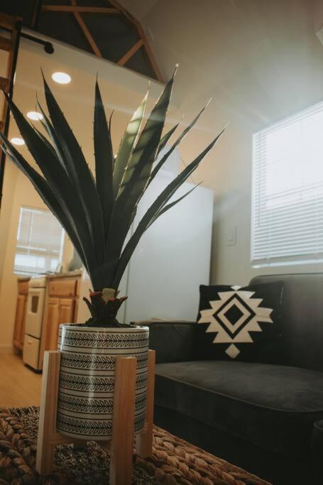 Agave Tiny House At Cactus Flower-Hot Tub-Pet Friendly-No Pet Fees! Albuquerque Extérieur photo