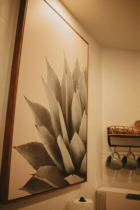 Agave Tiny House At Cactus Flower-Hot Tub-Pet Friendly-No Pet Fees! Albuquerque Extérieur photo